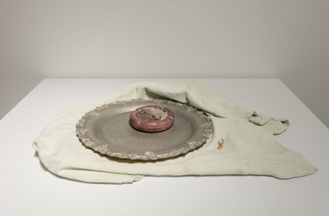 Mouse on Cloth