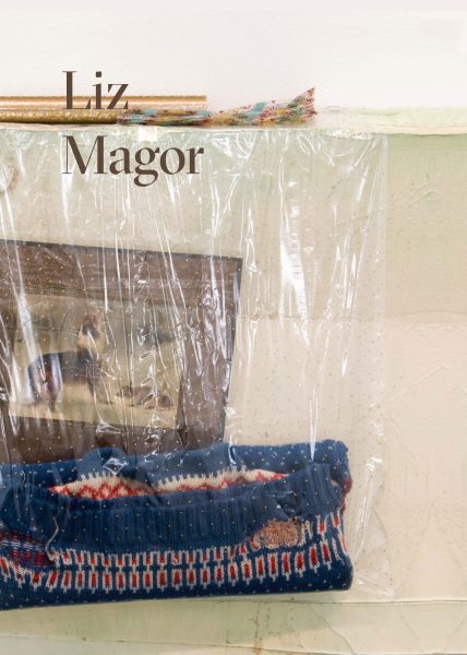 Catalogue Liz Magor