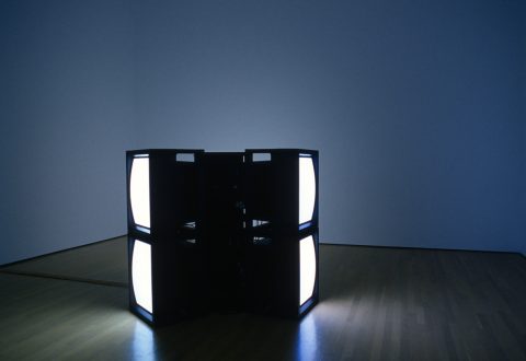 Kelly Mark, Porn (de la série Glow Video),
2005