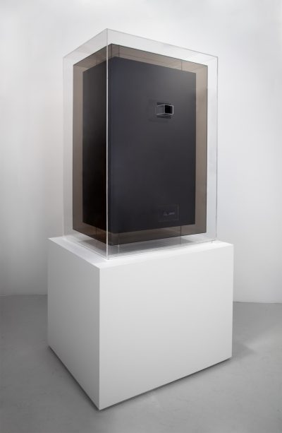 David Altmejd, La rose, 2010