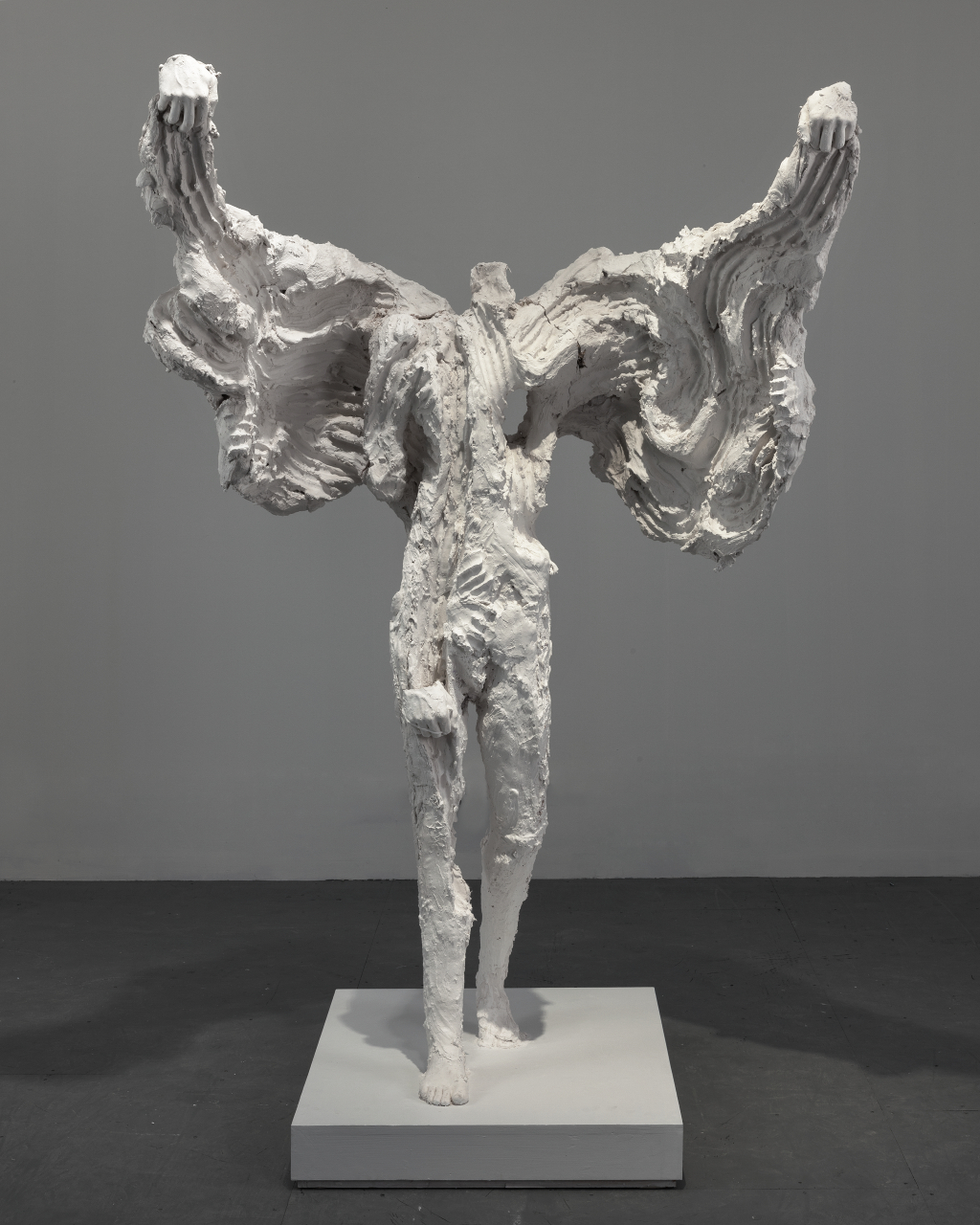 White Cube - Artists - David Altmejd