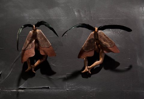 Wangechi Mutu, <i>Moth Girls</i>, 2010