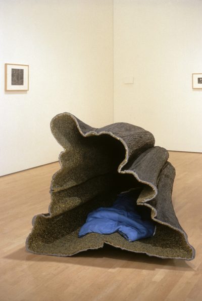 Liz Magor, Hollow, 1998-1999