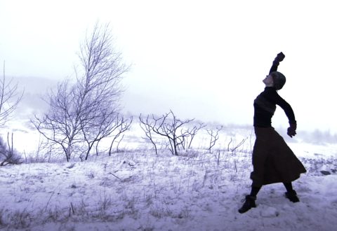 Mario Côté et Françoise Sullivan, Les Saisons Sullivan, 2007