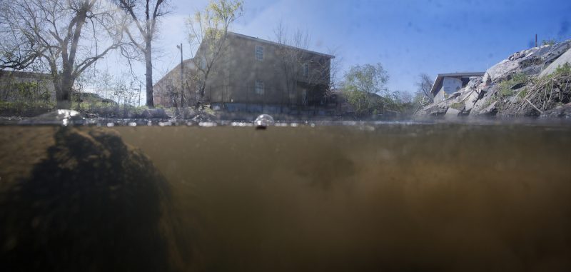 Isabelle Hayeur, Bayou Terrebonne 01, 2013