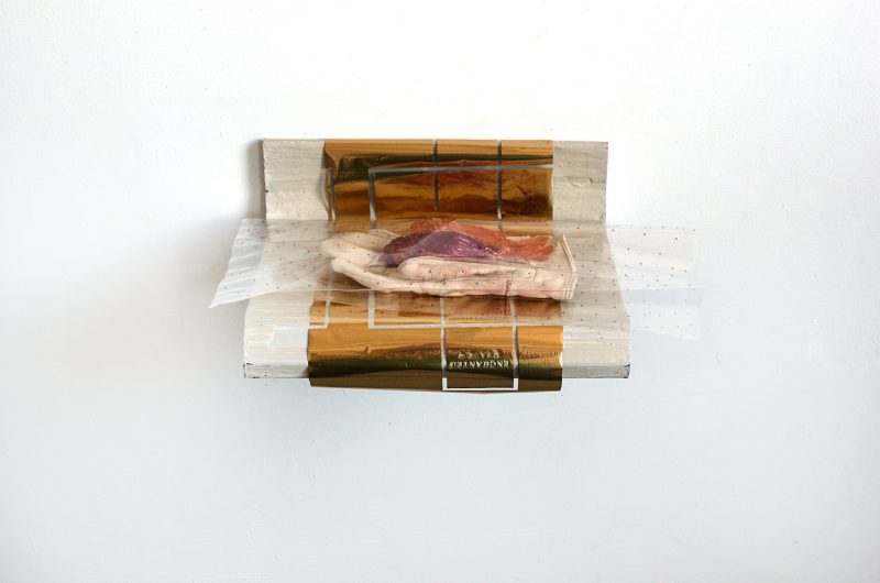 Liz Magor, Ladies Soft Leather (Russet), 2015