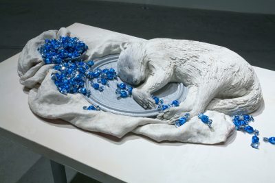 Liz Magor, Racoon, 2008