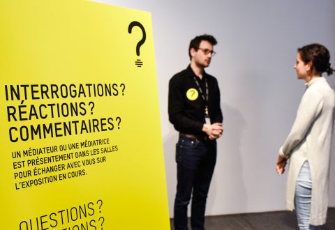 Médiation en salle