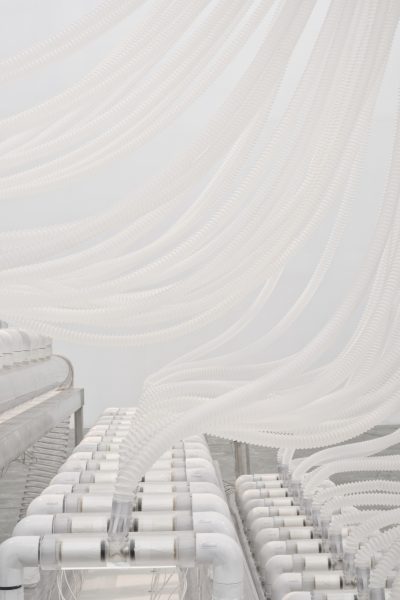 Rafael Lozano-Hemmer, Vicious Circular Breathing, 2013