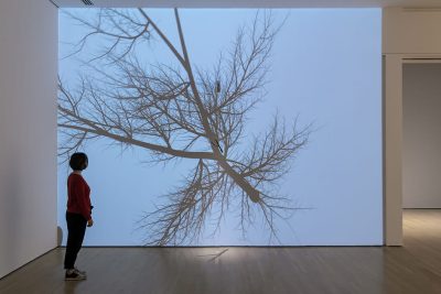 Rafael Lozano-Hemmer, Bifurcation, 2012
