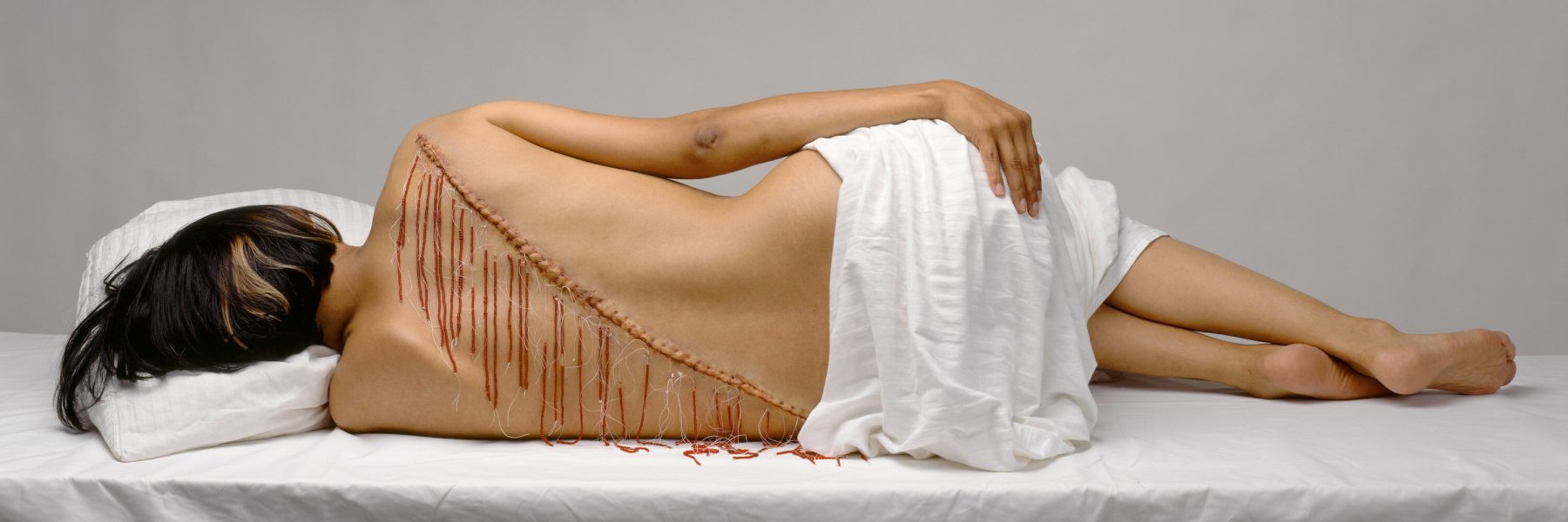 Rebecca Belmore,<i>Fringe</i>, 2008