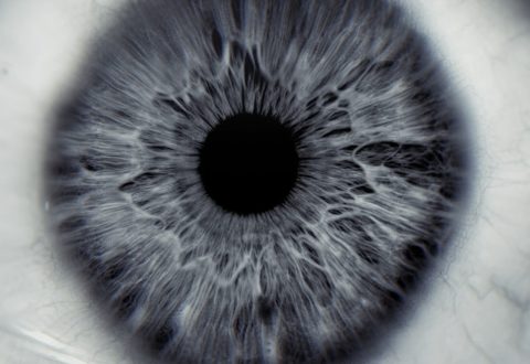 Herman Kolgen — RETINA Live