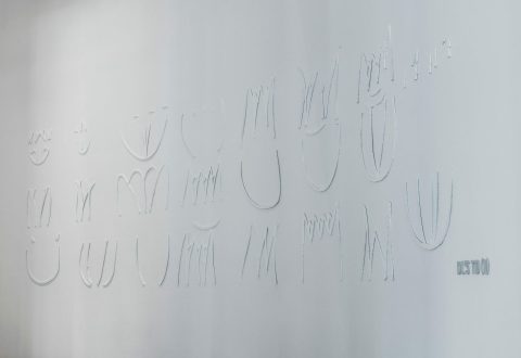 Micah Lexier, Debby Lexier’s Tulip Drawing, 2008