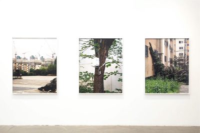 Jinyoung Kim, Apparitions of Collective Disposition, Triptych, 2019