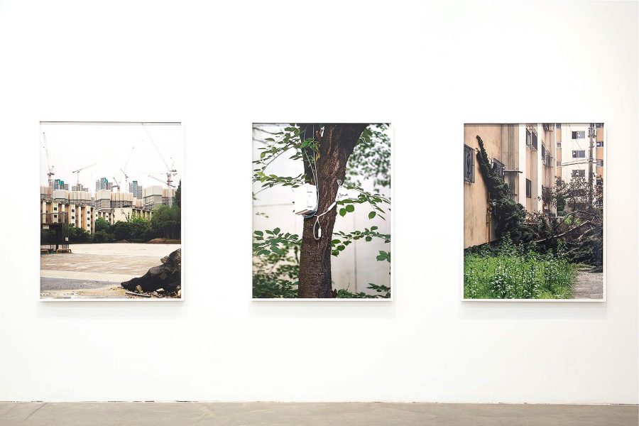 Jinyoung Kim, Apparitions of Collective Disposition, Triptych, 2019