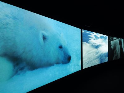 John Akomfrah, Vertigo Sea, 2015, vue de l’installation