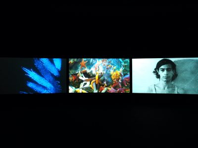John Akomfrah, Vertigo Sea, 2015, vue de l’installation
