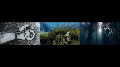 John Akomfrah, Vertigo Sea, 2015, vue de l’installation