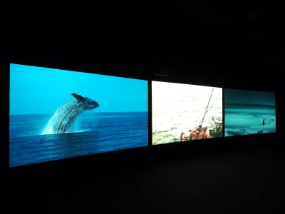 John Akomfrah, Vertigo Sea, 2015, vue de l’installation