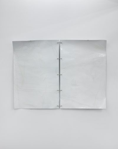 Marie-Michelle Deschamps, Occasional Work, 2019