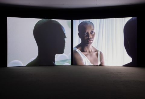 Isaac Julien, <i>True North</i>, 2004
