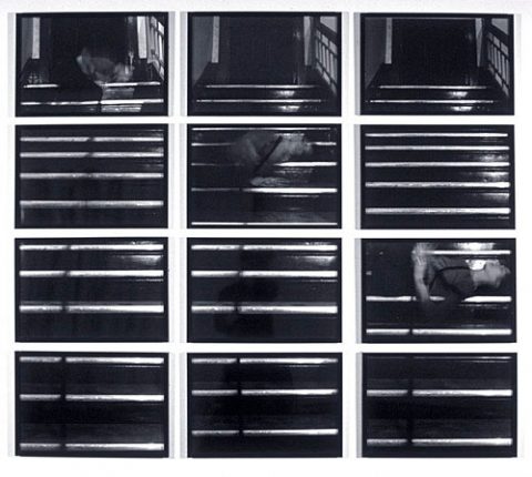 Vertical Pull 1, 1977, 12 gelatin silver prints.