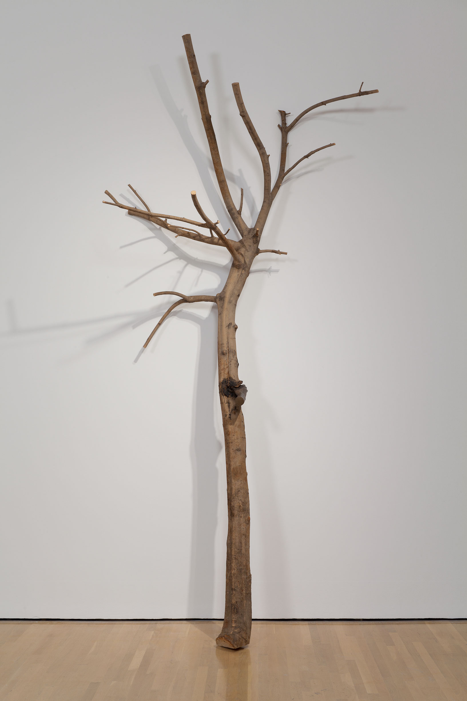 I Have Been a Tree in the Hand, 1984-1991, Giuseppe Penone, Bois et fer.