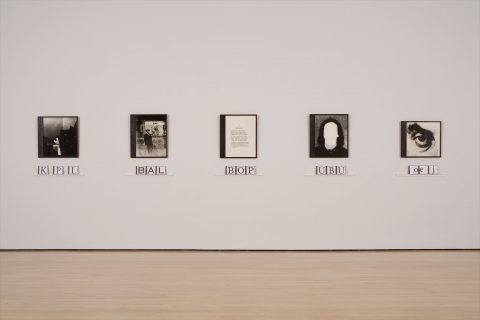 L’Œil acoustique, 1997, 5 silver prints framed, 15 compact disc boxes with inserted sheets and 5 painted wood moldings.