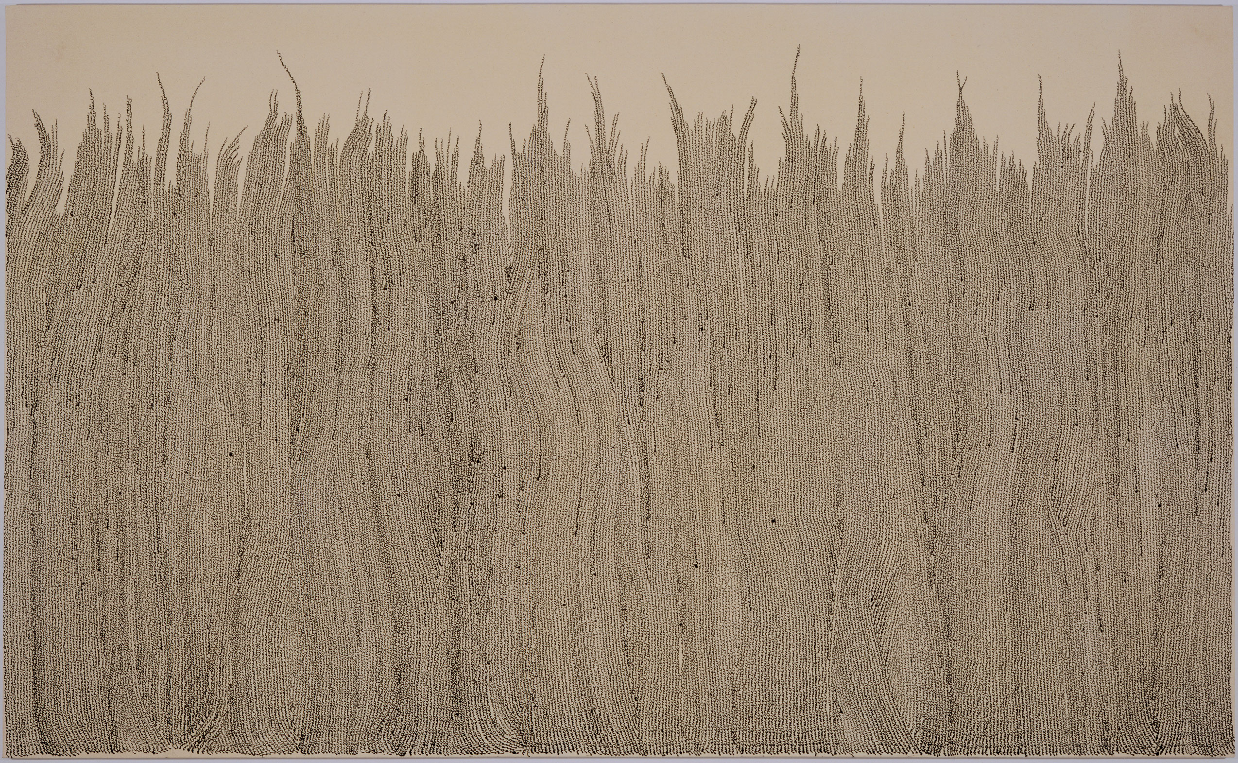 « mcb » les blés, 1999, Marie-Claude Bouthillier, Encaustique et vernis polymère sur toile.