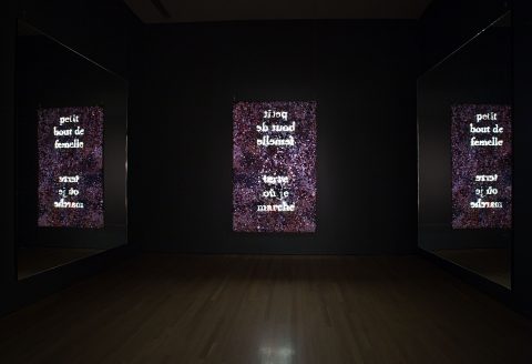 Not I/Pas moi, 2006-2007, Christine Davis, Diaporama en boucle projeté sur écran de boutons suspendu, miroirs, 18 min..