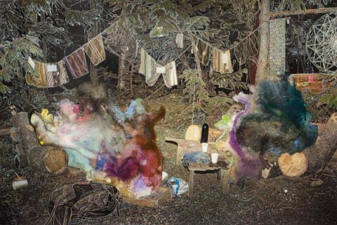 Highlight (de la série « Field Trip »), 2015, Sarah Anne Johnson, Épreuve à développement chromogène, 2/3.